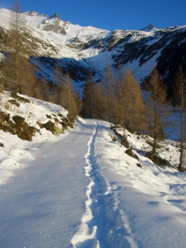 a snow covered road with trees and mountains in the background at Cafe Schneider in Lappago