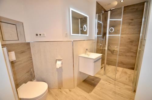 La salle de bains est pourvue de toilettes, d'une douche et d'un lavabo. dans l'établissement Villa Strandblick 7, à Zingst