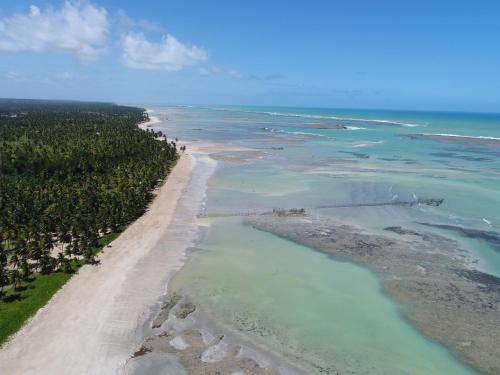 an aerial view of a beach and the ocean at Pousada Riacho dos Milagres in São Miguel dos Milagres