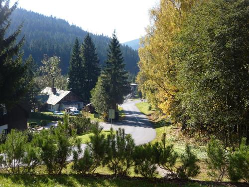 a road in a village with trees and a house at Pension Borůvka in Špindlerův Mlýn
