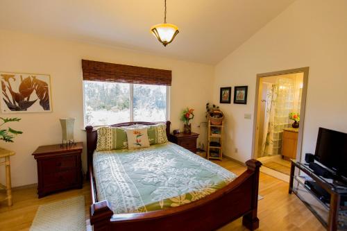 een slaapkamer met een bed, een tv en een raam bij Kuuipo Cottage in Mountain View