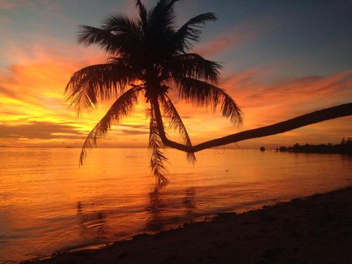 
a sunset view of a beach with palm trees at Jungle Garden Bungalows in Hinkong
