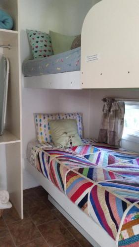 Padthaway Caravan Park – Photos 5