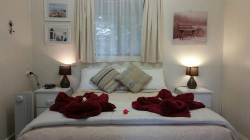 Padthaway Caravan Park – Photos 3