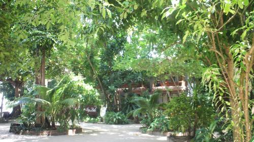 a garden with many trees and plants in it at Big Fish Resort Koh Tao in Koh Tao