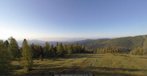 a field with trees on the side of a mountain at Villa-Alpenblick in Hochrindl