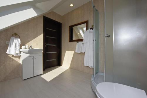 a bathroom with a shower and a sink and a toilet at Prie Žiedo in Trakai