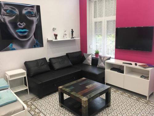 a living room with a black couch and a tv at Diana’s Charming Studio at the Buda Castle in Budapest