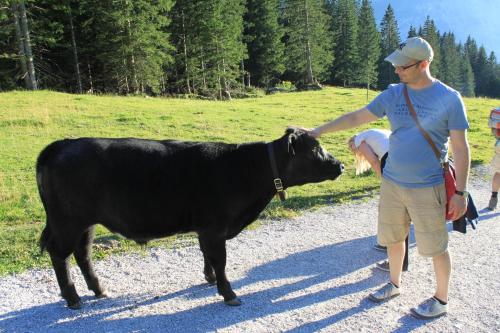 a man is petting a black cow on a road at Apart-Elisabeth in Mieming