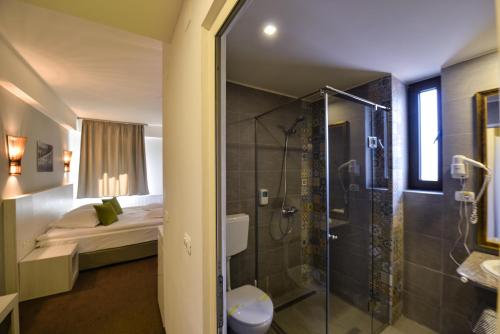 a bathroom with a shower and a toilet and a bed at Hotel Posada Vidraru in Căpăţîneni-Ungureni