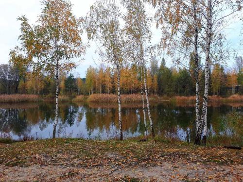 a group of trees standing in front of a lake at Relax villa Poduzska in Sinyak