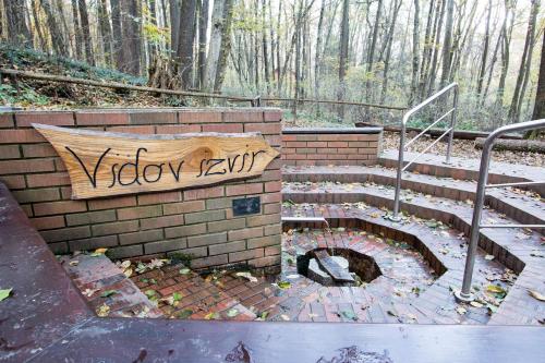 a brick staircase with a fire place in the ground at Holiday Home Janko in Bogojina