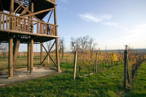 a view of a vineyard with a wooden building at Holiday Home Janko in Bogojina