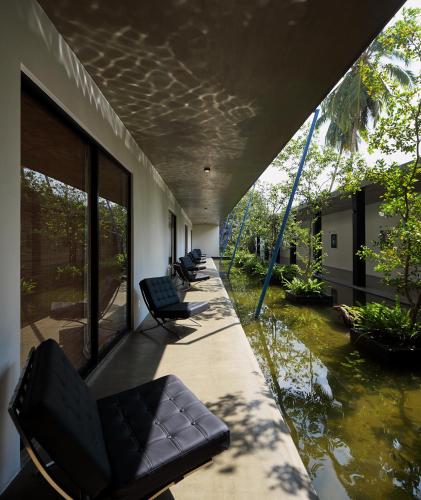 a row of chairs sitting on a patio with a pond at Serendiva Beach in Wadduwa