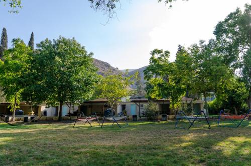 a group of chairs in a yard with trees at Bait Alfa Kibbutz Country Lodging in Bet Alfa