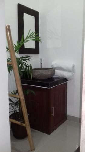 un baño con lavabo y una planta en un mostrador en Anugrah Jaya Guest House, en Canggu