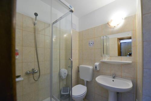 
a bathroom with a shower, sink, and toilet at Hotel Paraul Capra in Cumpăna
