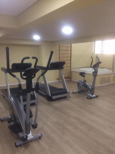 a gym with two exercise bikes and a treadmill at Anitta 2 in Sao Paulo