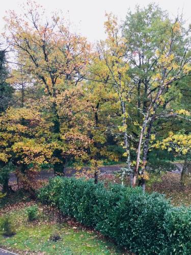 a row of bushes in a park with trees at Le jardin des Biches in Somme-Leuze