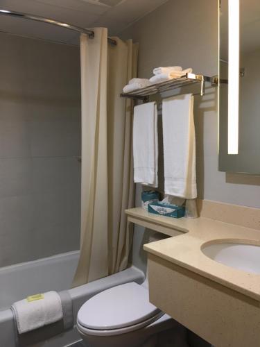 a bathroom with a toilet and a sink and a shower at Floral Park Motor Lodge in Floral Park