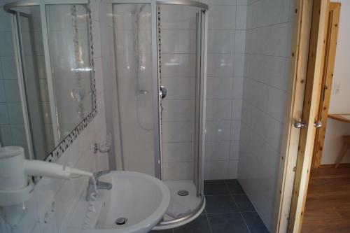 トゥクスにあるHaus Bergheimatのバスルーム(シャワー、シンク付)