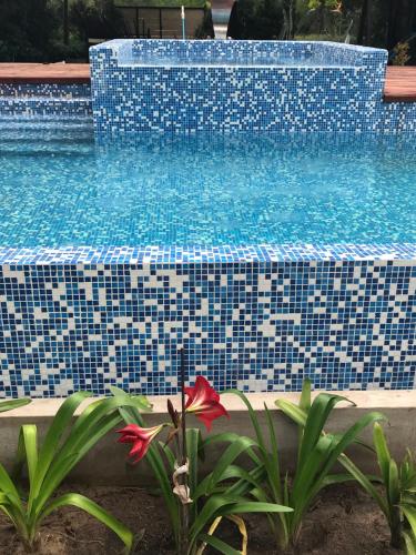 Swimmingpoolen hos eller tæt på Los Aromos de Valeria