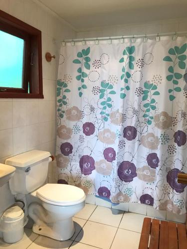 y baño con aseo y cortina de ducha. en Casa Orilla Lago Villarrica, en Villarrica