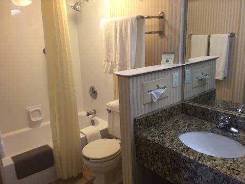 a bathroom with a white toilet and a sink at 1863 Inn of Gettysburg in Gettysburg