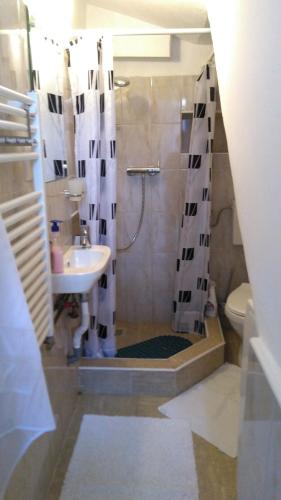 a bathroom with a shower with a sink and a toilet at Mama Brasov in Braşov