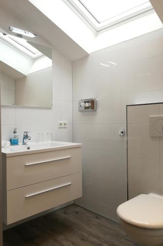a bathroom with a toilet and a sink and a mirror at Forsters Schwarzwald Hof - Resort-Hotel&Pension in Feldberg