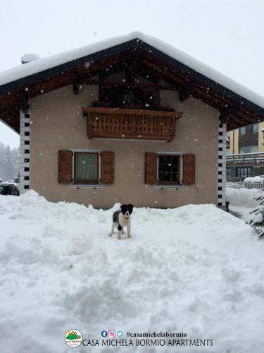 Casa Michela Bormio – Photos 5