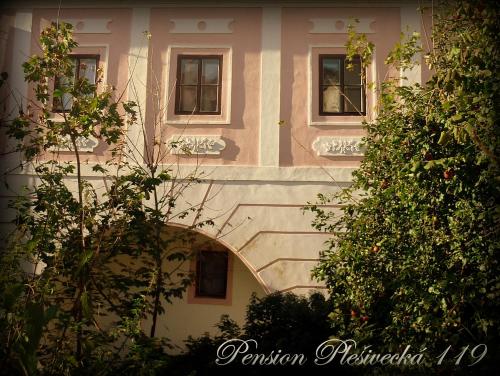 チェスキー・クルムロフにあるPension Plešivecká 119の窓と木々が目の前に広がる建物