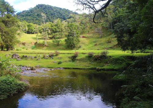 a river in a field with trees and a hill at Refúgio Ecológico Amadamata in Nova Friburgo