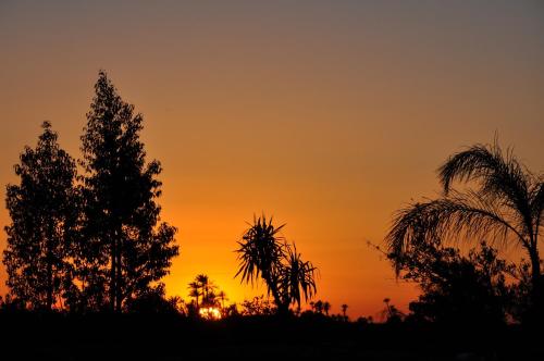 a sunset with palm trees in the foreground at Jnane Allia in Douar Soukkane