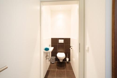 a small bathroom with a toilet in a room at Apartment Warter in Schladming