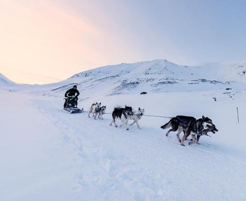 a group of dogs pulling a man on a sled in the snow at Radisson Blu Polar Hotel, Spitsbergen in Longyearbyen