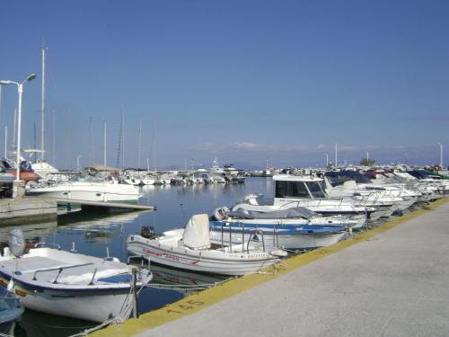 Avra