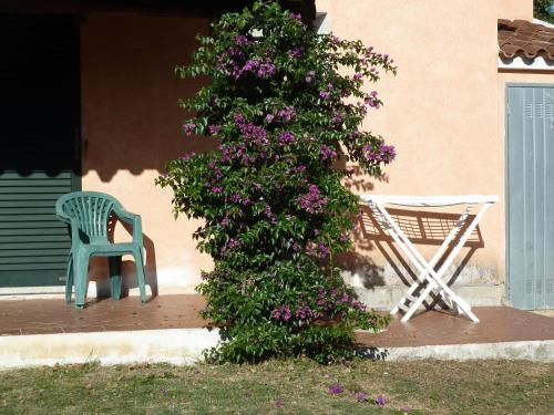 Gallery image of Agriturismo Vaddidulimu in Luogosanto