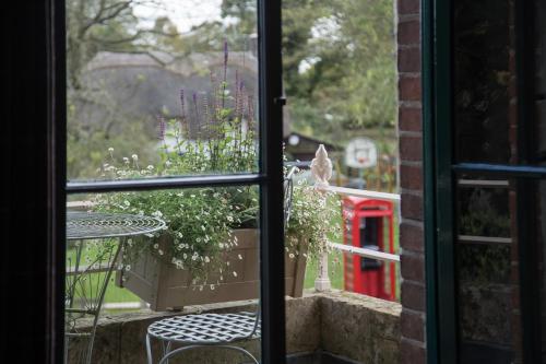 an open window with a table and a potted plant at The Museum Inn in Farnham