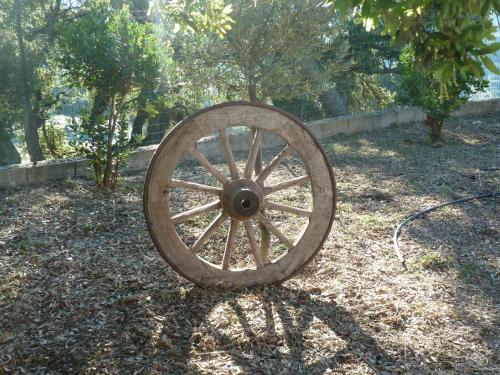Gallery image of Agriturismo Vaddidulimu in Luogosanto