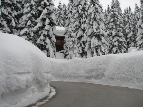 Το Vila Triglav on Pokljuka τον χειμώνα