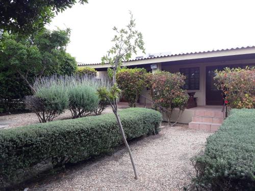 a small tree in a garden in front of a house at Tourist Lodge Gansbaai in Gansbaai