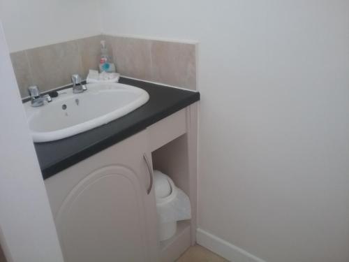 a bathroom with a sink and a toilet at The Meadows Bed and Breakfast in Monaghan