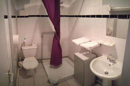 a small bathroom with a toilet and a sink at hotel le chatiague in Tence
