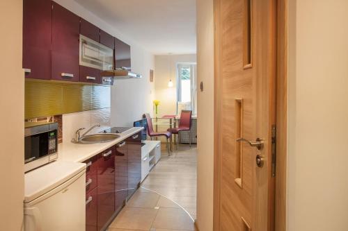 Kuchyň nebo kuchyňský kout v ubytování Apartament SYNERGIA