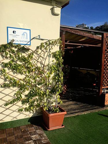 a plant in a pot sitting next to a building at Culture Residence Consalvo Otto in Naples