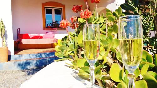 two wine glasses sitting on a table next to a plant at Agro-Turismo Monte da Galega in Mina de São Domingos