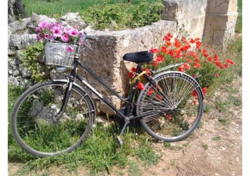 a bike parked next to a stone wall with flowers at B&b SAN LORENZO in Conversano