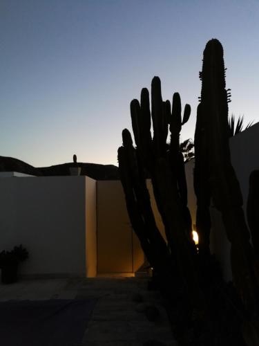 Gambar di galeri bagi Casa Euphorbia di Las Negras