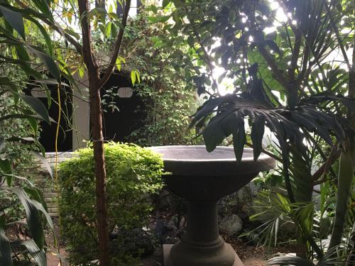 a bird bath in the middle of a garden at Hotel Calli Quetzalcoatl in Cholula